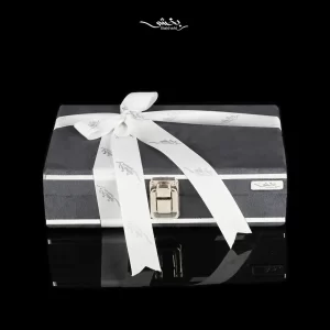 ست آینه دستی و شانه نقره در نقره بخشی