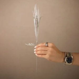 شاخه گندم نقره