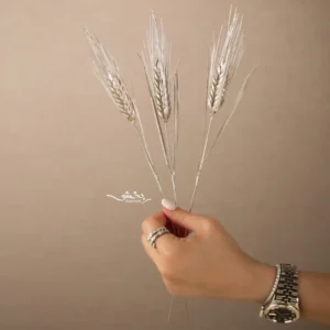 شاخه گندم نقره